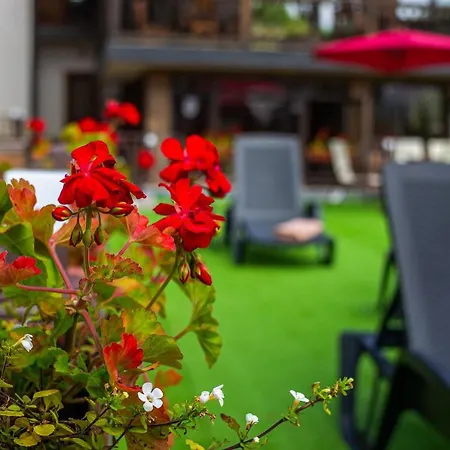 Amarena - Breakfast Included In The Price Swimming Pool Sauna Hammam Jacuzzi Restaurant Inexpensive And Delicious Food Parking Area Barbecue 400 M To Lift 1 And 4*