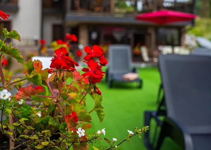 Amarena - Breakfast Included In The Price Swimming Pool Sauna Hammam Jacuzzi Restaurant Inexpensive And Delicious Food Parking Area Barbecue 400 M To Lift 1 And 4*